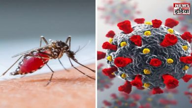 Corona Dengue Virus Updates