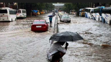 महाराष्ट्र में बारिश से मच गया हाहाकार