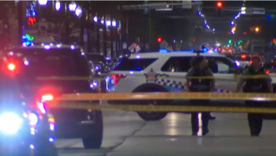 Latest International News: Firing in Chicago, America, 7 people including 3 innocent people injured