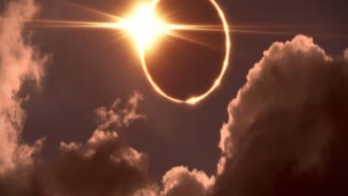 Total solar eclipse 2024: Date, time and 3 important food myths and facts about solar eclipse