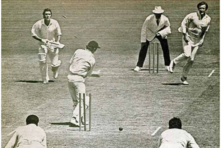 cricket