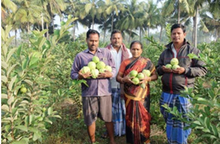 ला