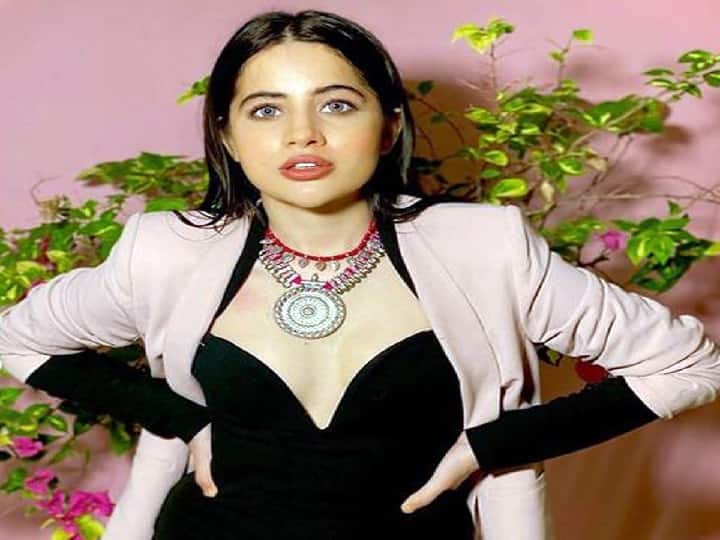 On-New-Years-Day-Urfi-Javed-shared-a-stunning-photo