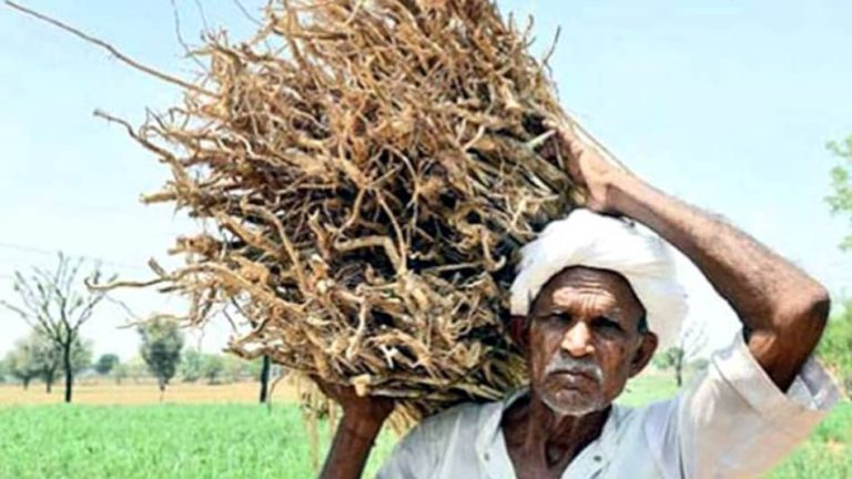 farmer_demo_1542809886_749x421