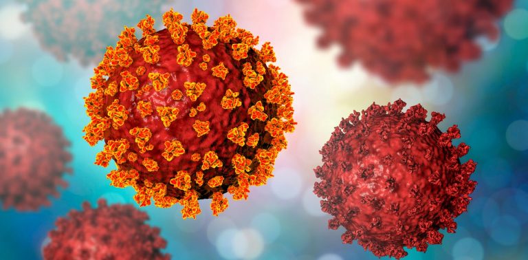 Corona Virus Update