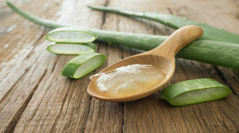 Aloe-Vera-1