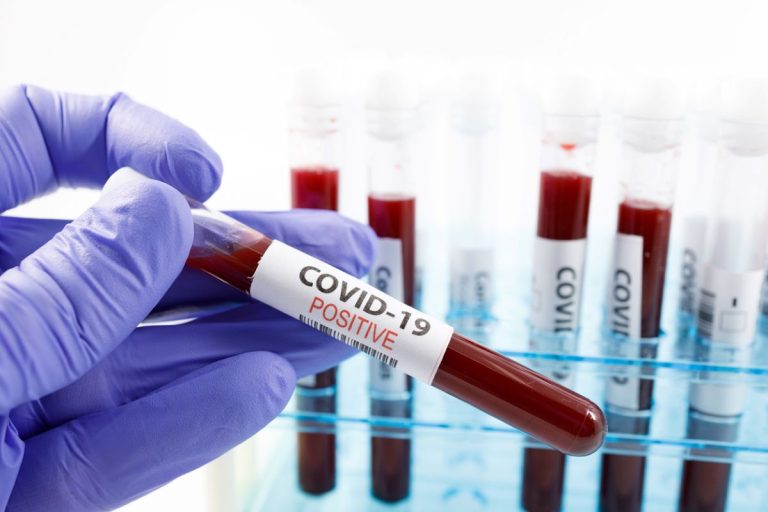 Corona Dengue Virus Update