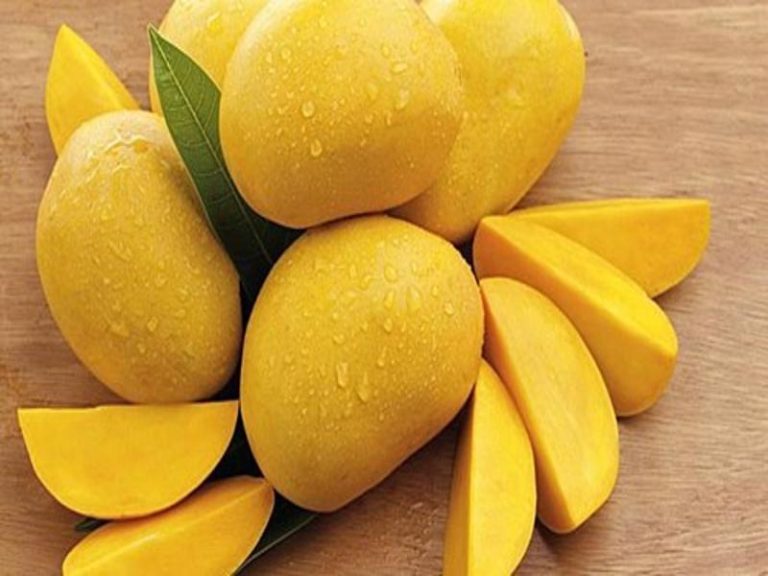 mango