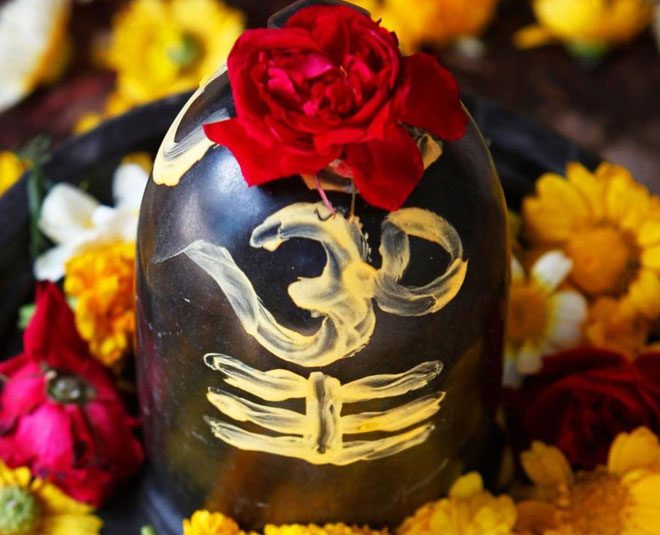 sawan-shivling-pooja-inside_1