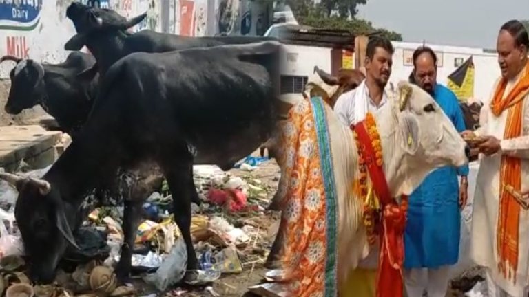 Gopashtami Parv