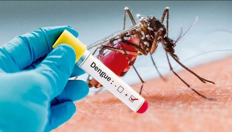 Dengue Update