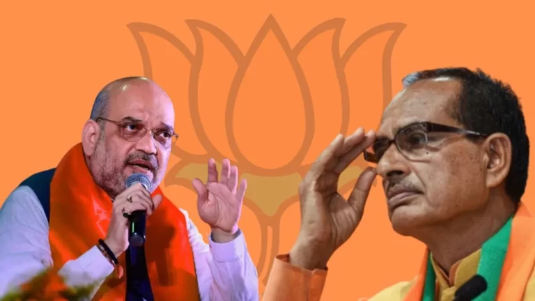 mp election