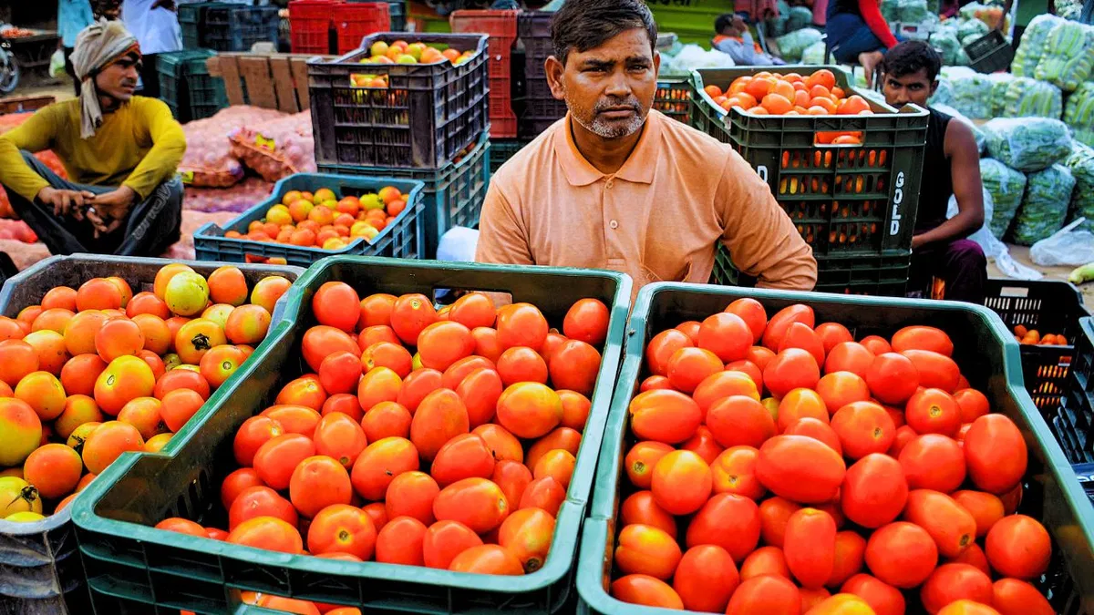 tomato price