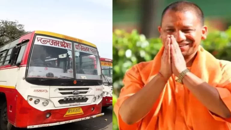 yogi