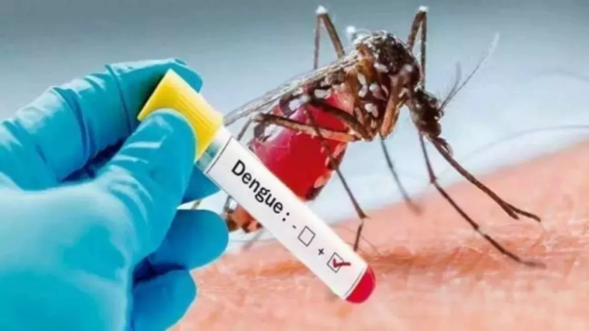 18_07_2023-delhi_dengue_case_news_23474475