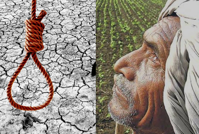 farmers committed suicide in Vidarbha