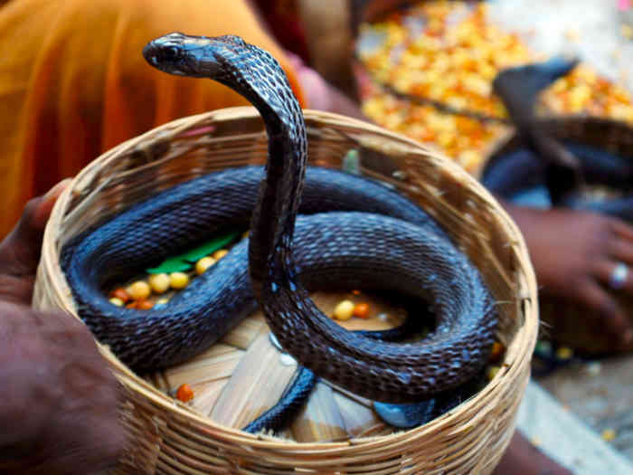 Nag Panchami