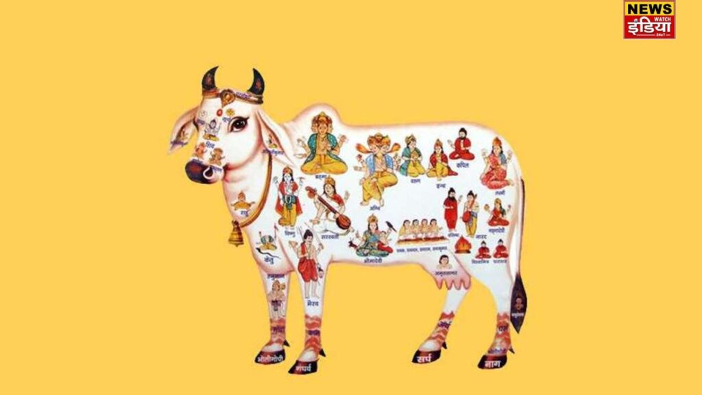 Cow's ghee will reach Ayodhya in 108 chariots!
