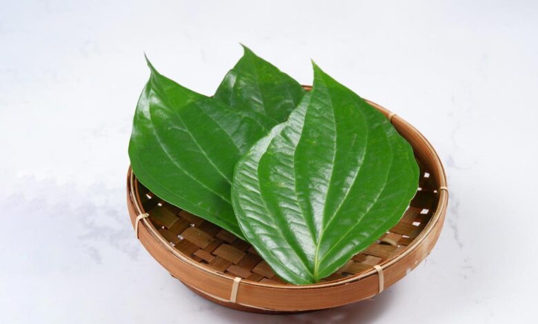 Miraculous remedy of betel leaf