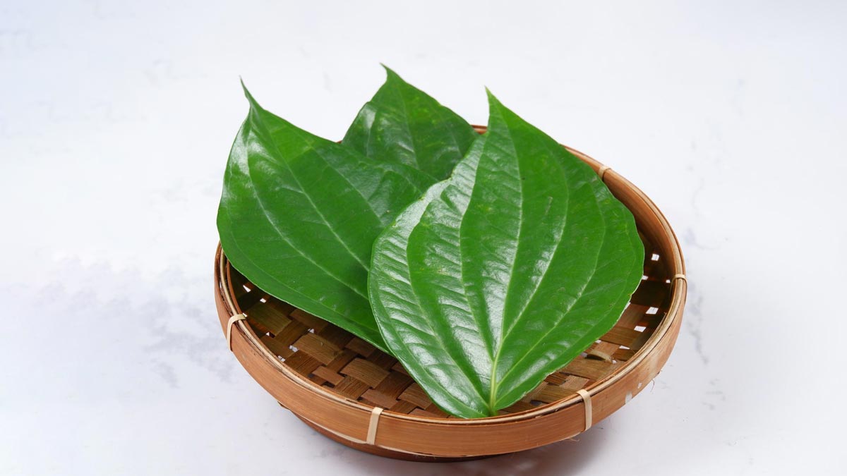 Miraculous remedies of betel leaf, if you don't believe then try it.