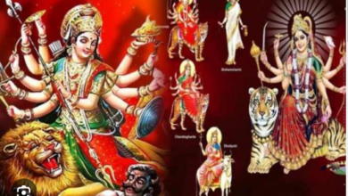 नवरात्रि के नौ दिन पहने इन नौ रंगों के वस्त्र