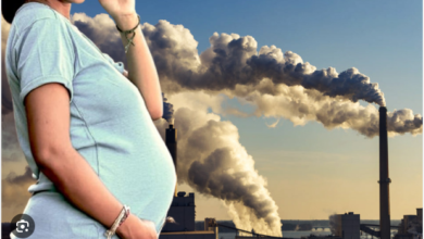 गर्भ में पल रहे बच्चों के लिए प्रदूषण बना आफत