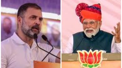 Lok Sabha Election Latest Update: PM Modi defeated Congress in Dholpur rally!