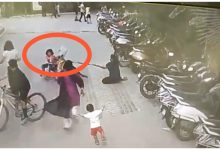 Dog Attacks 6yrs Old Girl: 6 year old girl attacked by pet dog in high rise society in Ghaziabad