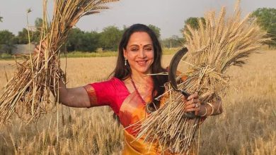 Lok Sabha Election 2024: Hema Malini was seen harvesting wheat in the field during the election campaign.