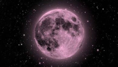 Pink Moon 2024: Pink moon will be seen on Chaitra Purnima, know what is the reason?