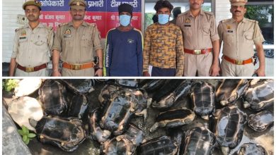 Bijnor UP Latest News: Police arrested two smugglers along with 38 turtles from Bijnor.