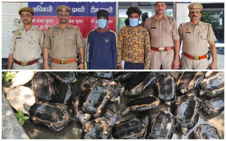 Bijnor UP Latest News: Police arrested two smugglers along with 38 turtles from Bijnor.