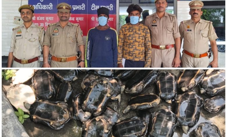 Bijnor UP Latest News: Police arrested two smugglers along with 38 turtles from Bijnor.