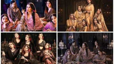 Hiramandi Latest Update: Celebs posted on social media regarding Sanjay Leela Bhansali's Hiramandi series