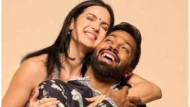 Hardik Pandya Divorce update: Krunal Pandya's entry in Hardik-Natasha divorce case created panic among fans.