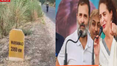 Loksabha Election 2024 Wayanad: Why was there an uproar over the poster of Congress Guest House in Rae Bareli, what mistake did Congress make?