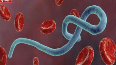 Mutant Ebola Virus: Chinese scientists created mutant Ebola virus in the laboratory
