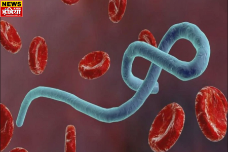 Mutant Ebola Virus: Chinese scientists created mutant Ebola virus in the laboratory