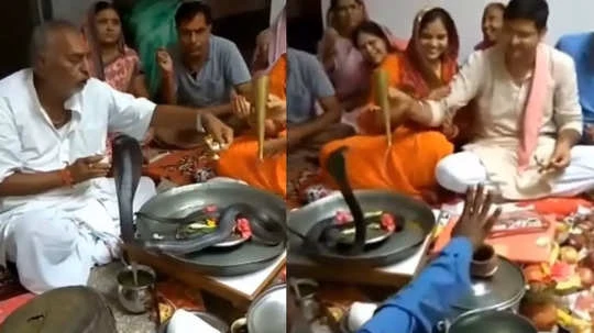 Latest Viral Video: Husband and wife were performing Rudrabhishek of Nag Devta, then something like this happened…..