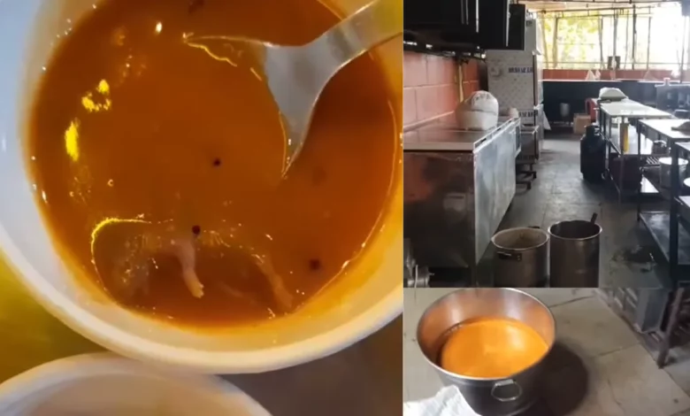 Ahemdabad: Dead rat found in sambhar in famous restaurant; Video Viral