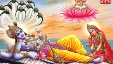 Nirjala Ekadashi 2024 Remedy: With these 5 remedies on Nirjala Ekadashi, the house will be full of wealth throughout the year