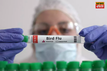 Bird Flu Vaccination: Finland will start bird flu vaccination for humans