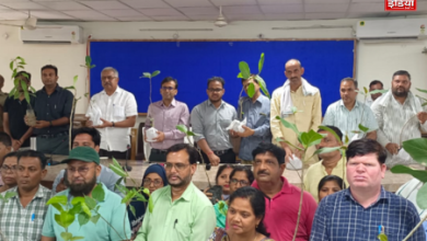 UP Bijnor Environment News: Everyone will have to plant trees to save the environment