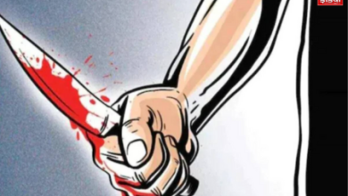 UP Ghaziabad Crime News: Grandson kills grandmother, addiction to online games ruined life