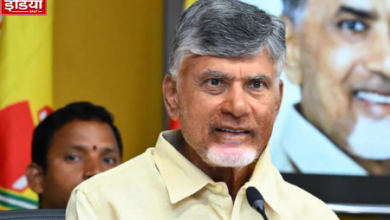 Andhra Pradesh Assembly Elections: Chandrababu Naidu's journey of comeback from defeat and arrest to TDP's big victory