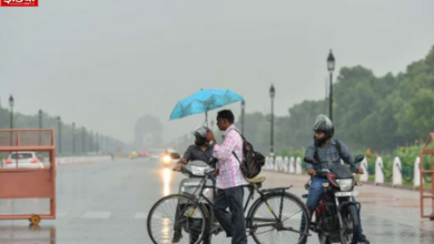 Monsoon Weather Update Today: Pre-monsoon activities in North India! Along with Delhi, which other states will see rain?