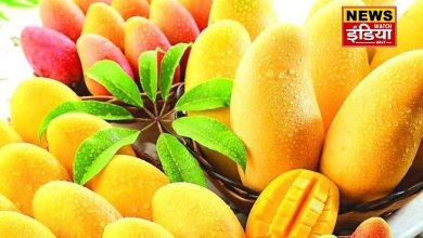 Mango Benefits: There are unique benefits of eating mangoes in summer, knowing that you will bring mangoes from the market today