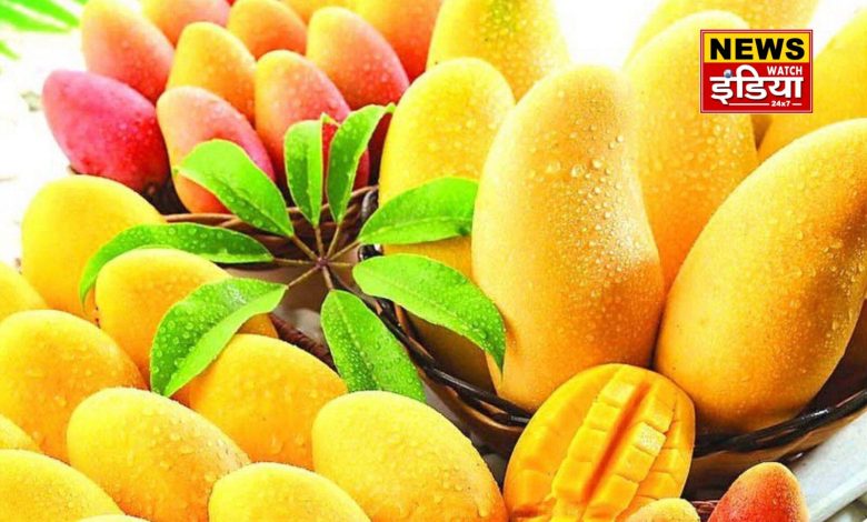 Mango Benefits: There are unique benefits of eating mangoes in summer, knowing that you will bring mangoes from the market today