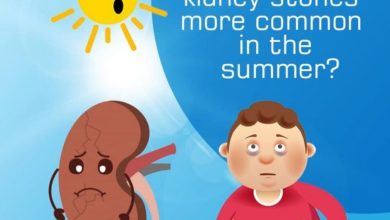 Kidney Stone Causes In Summer: Kidney Stone Causes In Summer, Know How To Avoid