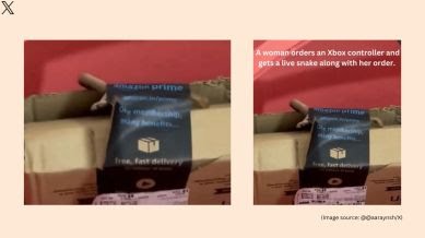 Amazon Viral Video: Online goods ordered from Amazon, poisonous snake came out of the package, see VIDEO